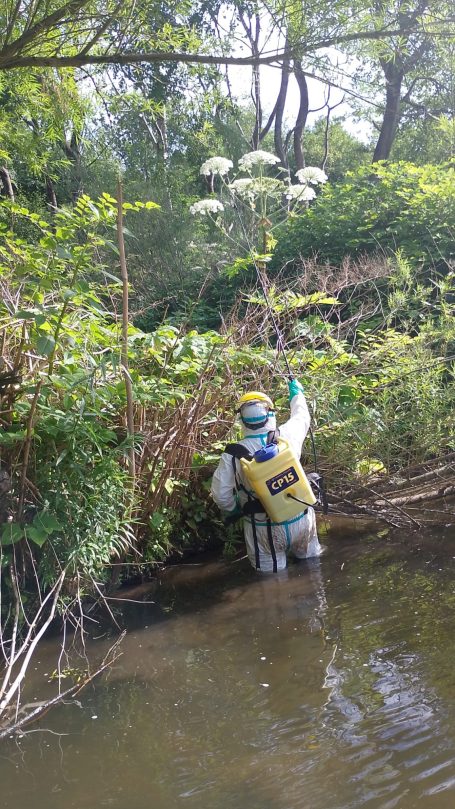 Person in protective gear working near a stream, surrounded by vegetation.